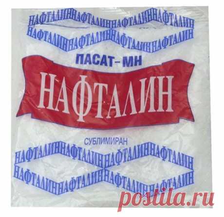 Победи таракана — спаси квартиру — Делимся советами