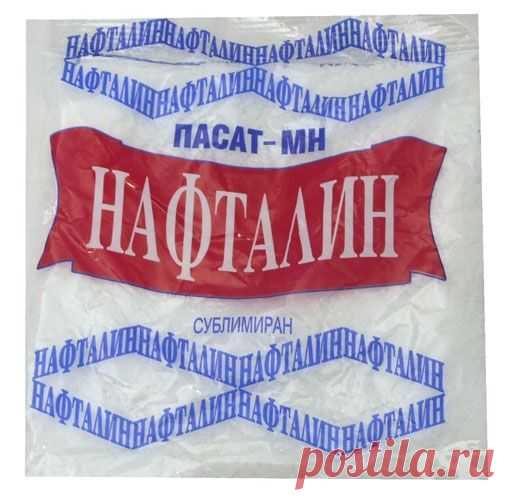 Победи таракана — спаси квартиру — Делимся советами