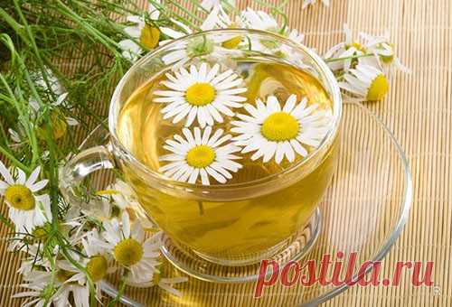 Ученые рассказали, что чай из ромашки весьма полезен