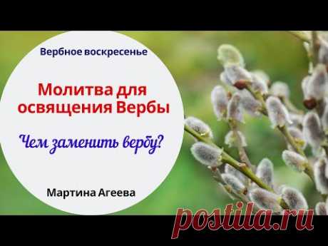 Молитва для освящения вербы | Чем заменить вербу? | Вербное