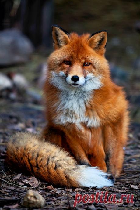 (1) СКАЗОЧНАЯ ПРИРОДА!
