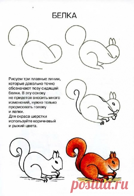 Рисуем животных — Поделки с детьми