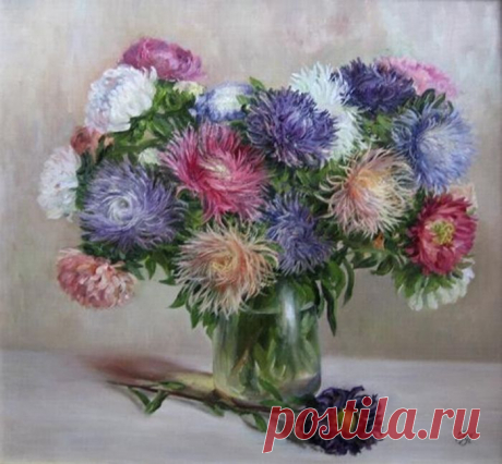 Астры