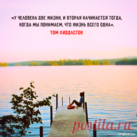 (5) Фитнес для мозга