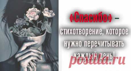 «Спасибо» — стихотворение, которое нужно перечитывать каждый день! - Все обо Всем