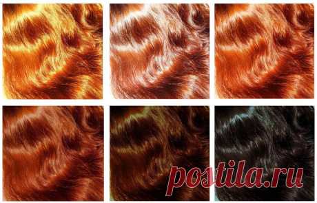 Эскулап: Лекарственные растения в косметологии: Окраска волос