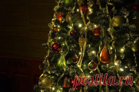 Почему Ёлка? Как возник обычай украшать хвойное дерево? | Журнал "JK" Джей Кей Этот волшебный и сказочный праздник невозможно представить без пышной елочки, ведь именно она служит особым эпицентром праздничной атмосферы. Сам процесс,