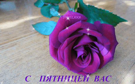 Архив открыток отправленных 12 Февраля 2016 года. Добавили: Игорь Демьяненко, Саныч Фромм, Вольный Монах, Татьяна Пономарева, Nina Konisidi, Юрка , Мисс Каприз