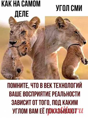 Изображение пина-истории