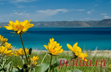 Просто Красивая Музыка Без Слов...