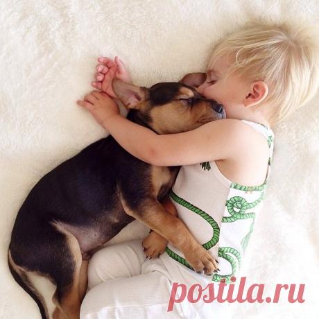 Спят усталые зверюшки - Экологическое землетворчество | Экологическое землетворчество