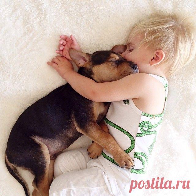 Спят усталые зверюшки - Экологическое землетворчество | Экологическое землетворчество