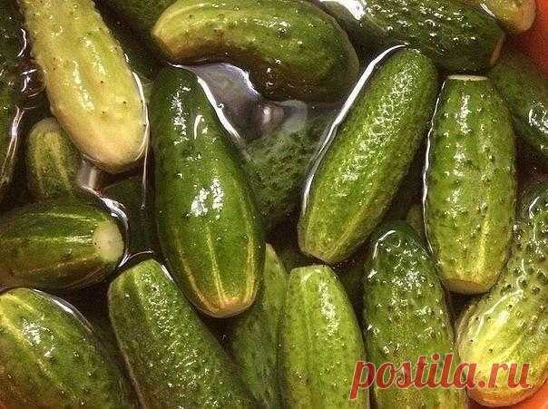 Самый вкусный рецепт соленых огурчиков, которым пользуюсь уже 20 лет! Для тех, кто любит хрустящей и острое!!!