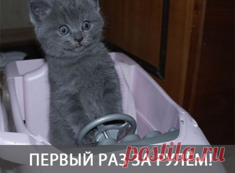 Матильда (Редко играю)