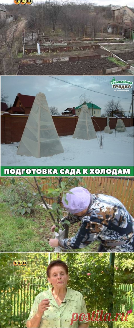 1 непрочитанный чат