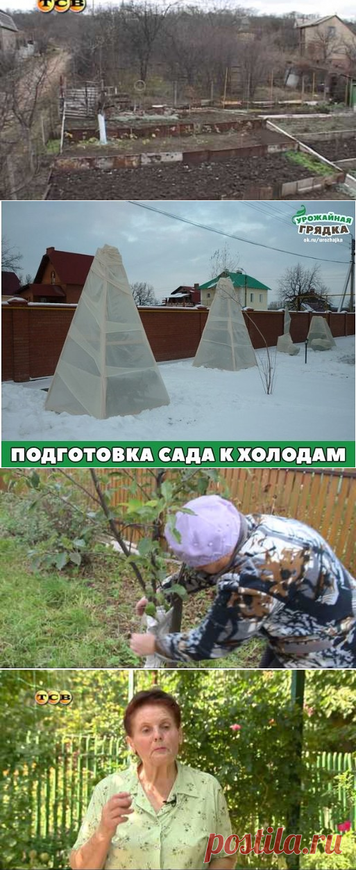 1 непрочитанный чат