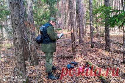 Десятилетнюю россиянку нашли в лесу рядом с телом матери. Во Владимирской области полицейские и волонтеры нашли десятилетнюю девочку в лесу рядом с телом матери. По предварительным данным, в воскресенье, 24 октября, жительница Гусь-Хрустального увела дочь в лес. Найденную девочку доставили в больницу. Ее жизни и здоровью сейчас ничто не угрожает.