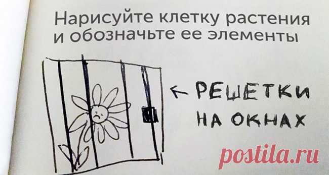 Эти дети заслужили приз за такие ответы на контрольных