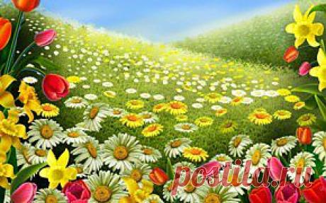 Автор: Е. А. Копарев
Название: Дешифровка забытых письменностей
Издательство: Verso
Год: 2012
Формат: pdf
Размер: 4,2 Mb
Количество страниц: 95