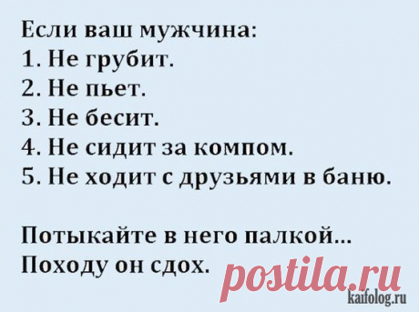 Самые убойные анекдоты. Большая подборка прикольных анекдотов в картинках про девушек, мужчин и на другие темы