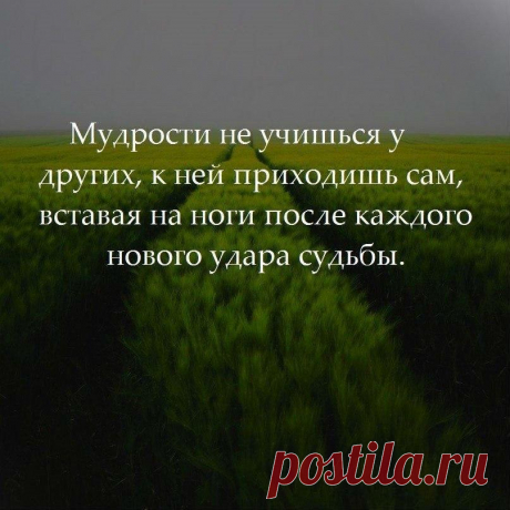 Мой Мир@Mail.Ru