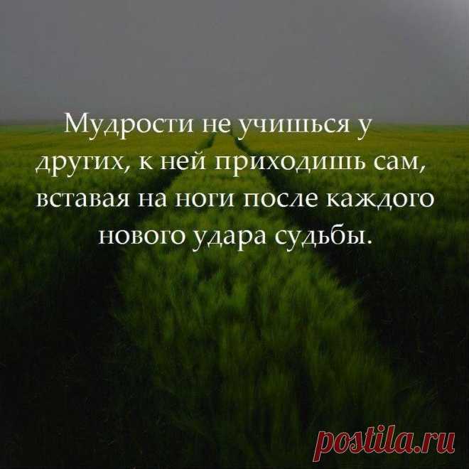 Мой Мир@Mail.Ru