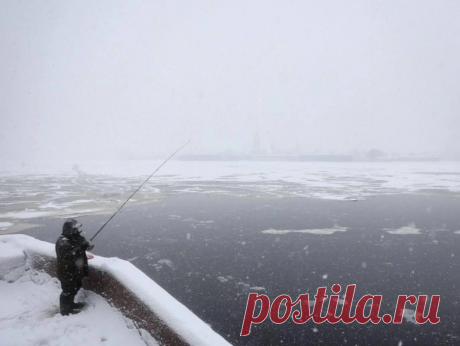 Скриншот - 2025-03-02 17:48:04