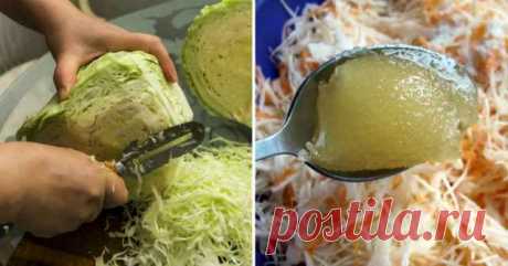 5 домашних блюд из одного кочана капусты: все питательные и безумно вкусные! — Домашняя кулинария