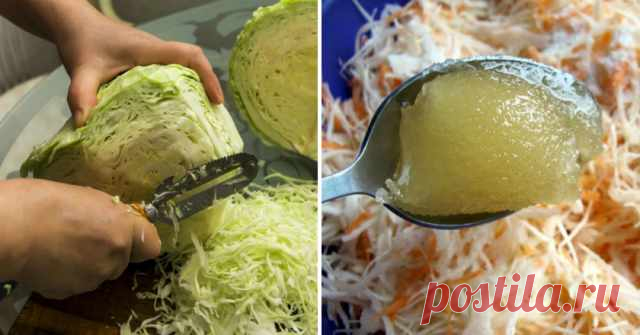 5 домашних блюд из одного кочана капусты: все питательные и безумно вкусные! — Домашняя кулинария