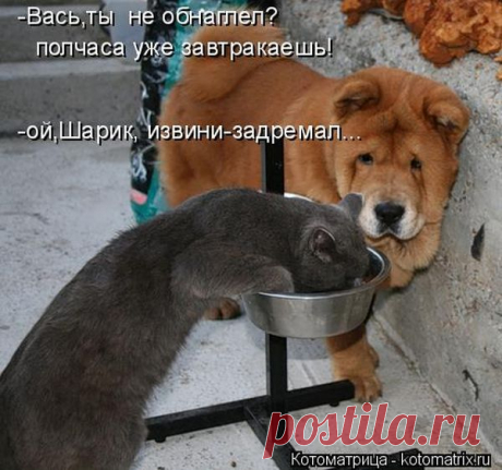 во дает !!!...  и выспаться уже успел...