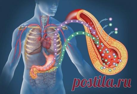 Советы, которые помогут вылечить диабет 2 типа Сахарный диабет- сложное эндокринное заболевание. Наряду с гипергликемией ему сопутствует нарушение всех видов обмена веществ. Принято считать, что это неизлечимый недуг.