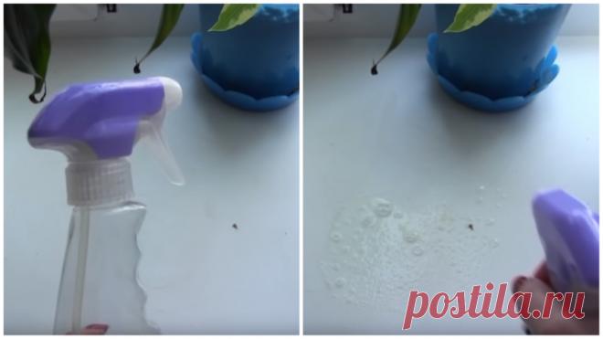 9 способов эффективно очистить от пятен подоконник стеклопакета