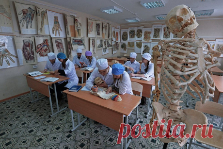 Лечить больных будут врачи-троечники В российских поликлиниках не хватает более 10 тысяч участковых терапевтов и педиатров, в Петербурге - около 500. Власти собираются усилить это направление за счет тех студентов-медиков, которые недотянули до интернатуры, а также за счет приезжих