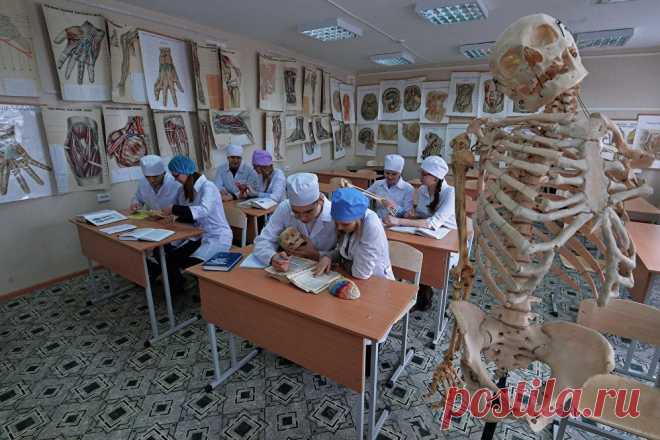 Лечить больных будут врачи-троечники В российских поликлиниках не хватает более 10 тысяч участковых терапевтов и педиатров, в Петербурге - около 500. Власти собираются усилить это направление за счет тех студентов-медиков, которые недотянули до интернатуры, а также за счет приезжих