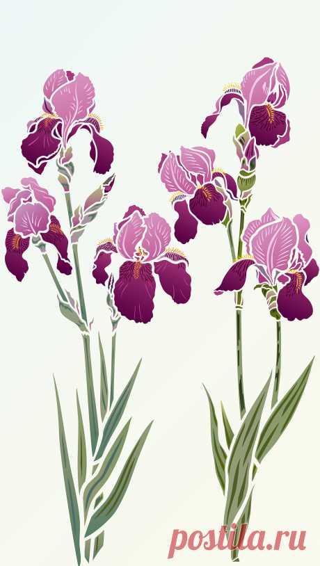 Iris Stencils 1 & 2 - Henny Donovan Motif Large Iris Theme Pack
Beautiful Iris flower stencils.
2 x 2 sheet designer stencils
Iris Stencils 1 & 2 - beautiful, elegant designer Iris Stencils based on Henny's detailed Bearded Iris drawings. Bring modern botanical and floral design touches to your interior decorating. Ideal for panels, furniture, soft furnishings and more. Two easy to use two layer stencils with shapely petals and detailed stamens and flower vein markings. Se...