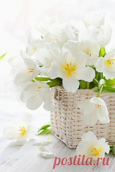 Мой Мир@Mail.Ru