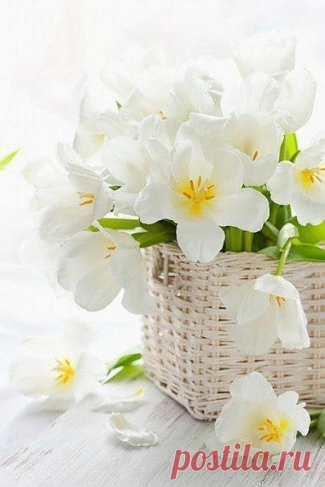 Мой Мир@Mail.Ru