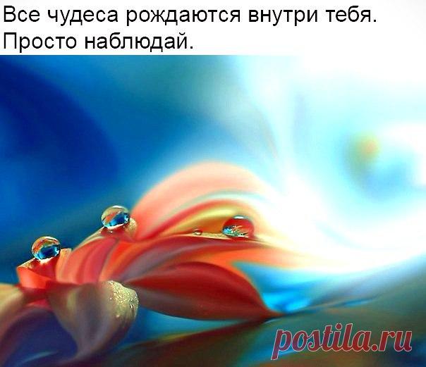 СОЖ | ЗОЖ Счастливый Образ Жизни