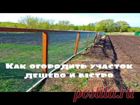 Как огородить участок дешево и быстро