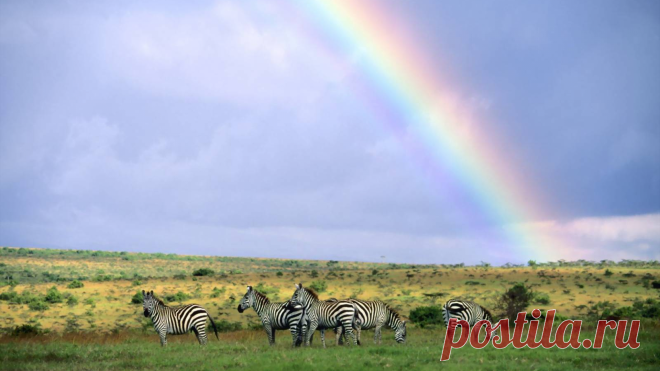 download_img.php (1920×1080)