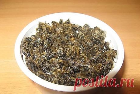 Пчелиный подмор поднимет умирающего/