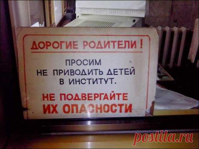Надписи и объявления с "изюминкой" | КУРЬЕЗЫ
