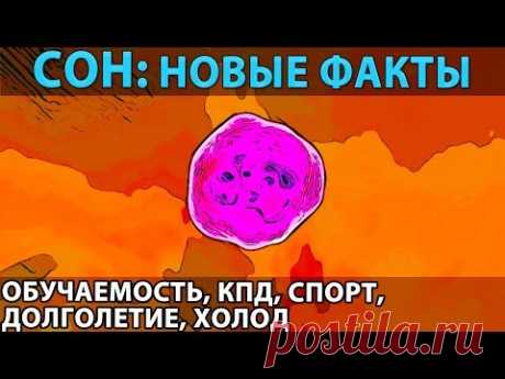 СОН: новые отрезвляющие факты и исследования. А также что дает крепкий сон и как выспаться за 4 часа - YouTube