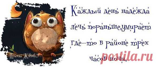 Gallery.ru / Фото #18 - О наболевшем. Про недосып :) - Inari