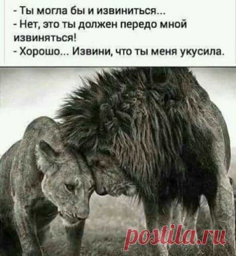 Группа «Женский сарказм»