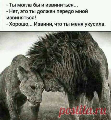 Группа «Женский сарказм»