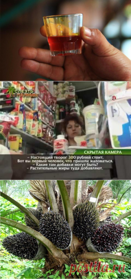 Страшнее ртути и цианида: Как нас травят пальмовым маслом.