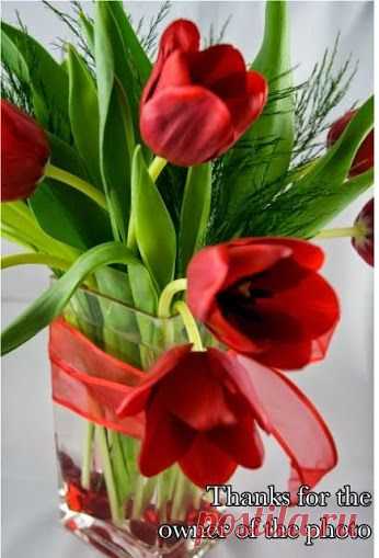 EVERY KIND OF FLOWERS – Сообщество – Google+