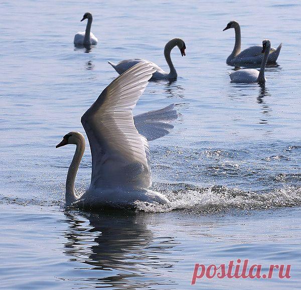 Мой Мир@Mail.Ru