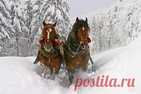 КРАСОТЫ ПРИРОДЫ